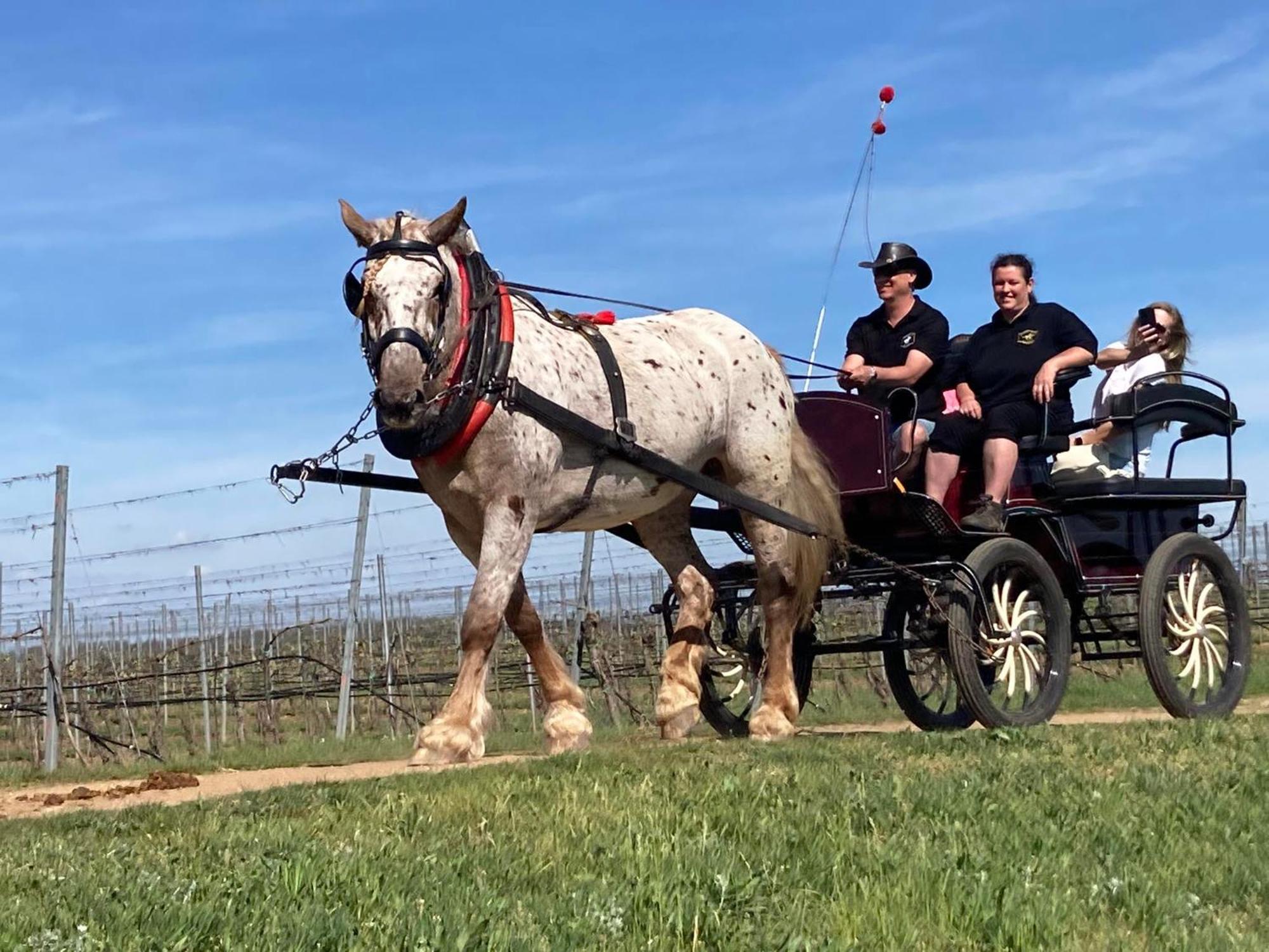 Penzion Horse Farm Lechovice Екстер'єр фото